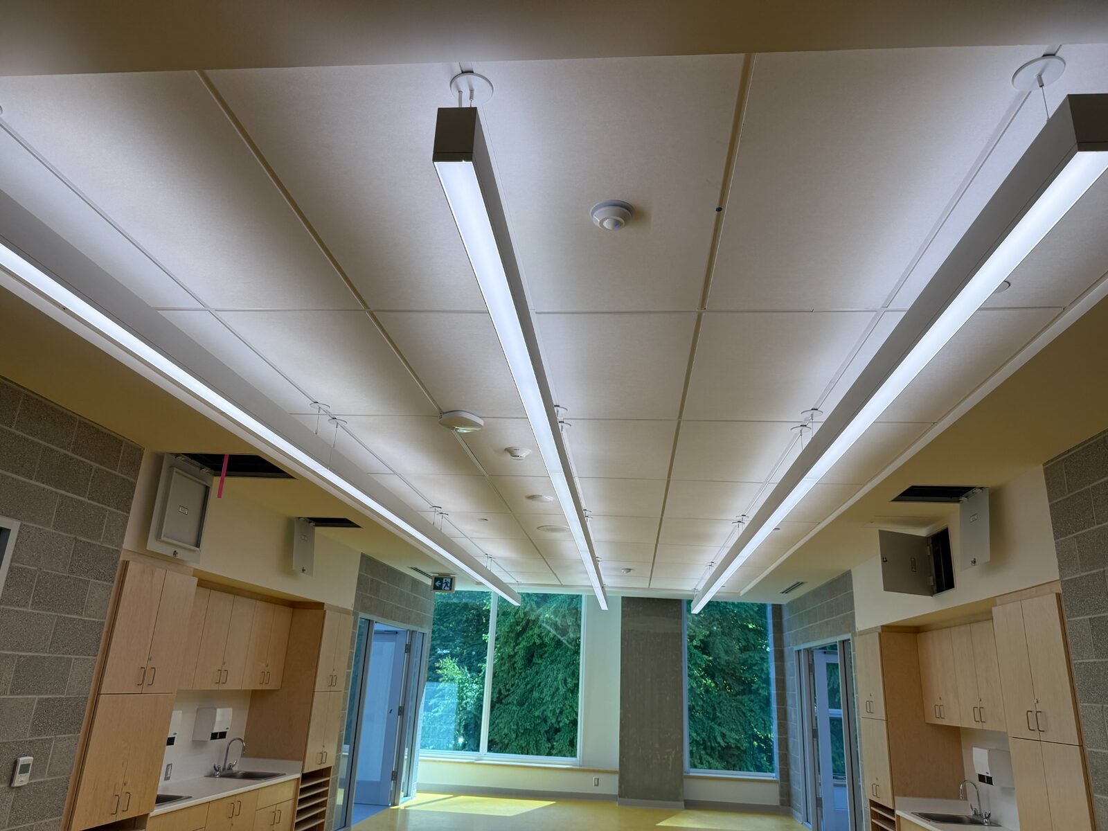 Finished suspended acoustic ceiling system with integrated lighting