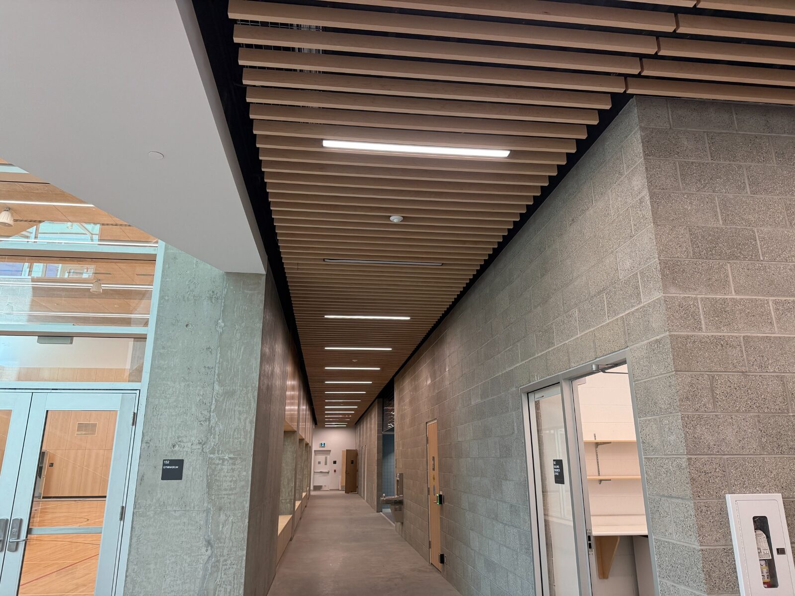 Completed commercial corridor with an architectural wood slat ceiling feature